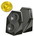 Pinnacle CS-66 BLACK 6 1/2" Dual 350-Watt Corner Loaded Powered Subwoofer